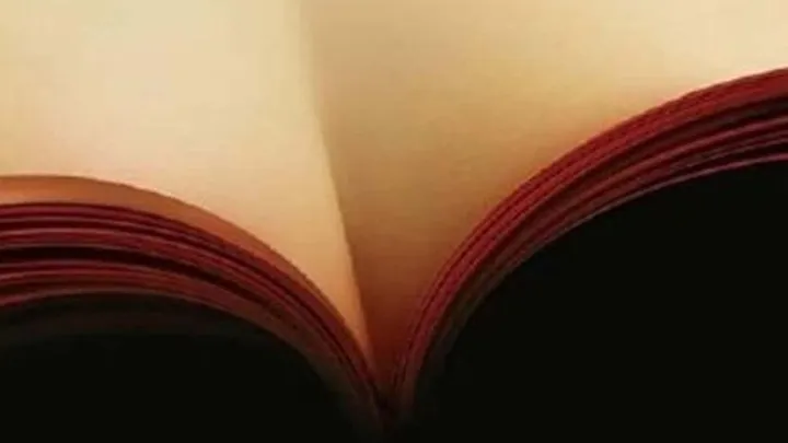 16 imágenes completamente inofensivas que prueban que tienes una mente sucia