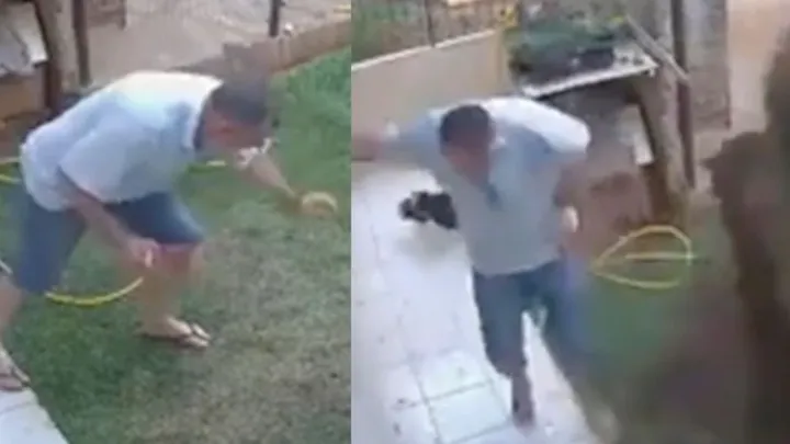 Vaya: el hombre explota completamente el jardín después de que intenta deshacerse de las cucarachas