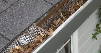 Cleaning the gutter? You can do it yourself with THESE handy tricks!