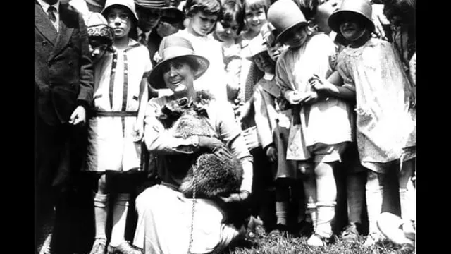 Des chimpanzés aux fourmiliers - Le monde excentrique des animaux de compagnie des célébrités
