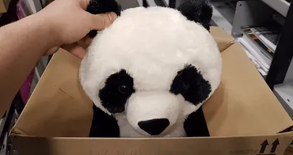 Jongen (10) laat hartverscheurend briefje achter omdat hij een pandaknuffel niet kan betalen, maar dan gebeurt er iets geweldigs!