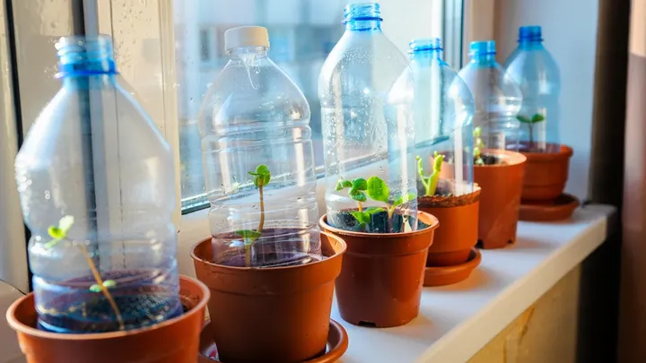 Haben Sie Plastikflaschen? Mit diesem Trick können Sie sie im Handumdrehen für Ihre Pflanzen wiederverwenden! Superpraktisch!