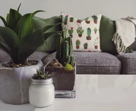10 tips om van huisstofmijt af te komen