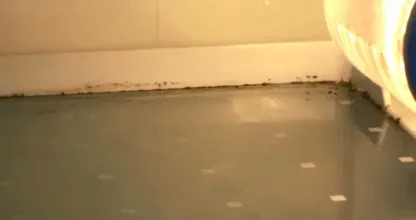 Vergisst du diese 10 Orte? Hier bildet sich Schimmel ohne das du es merkst.
