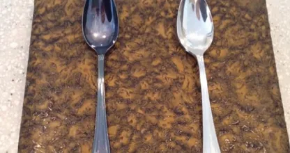 Zilverpoets maak je gemakkelijk zelf met dit stuk fruit
