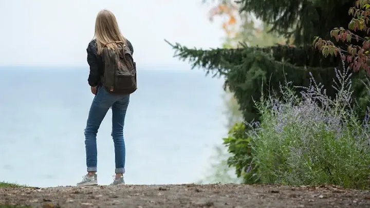 Frau folgt dem Bären in den Wald, nachdem er sich ihr an der Bushaltestelle unerwartet genähert hat