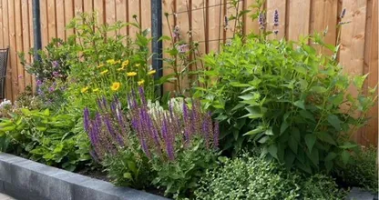 Je tuin inrichten? Dat hoeft niet moeilijk te zijn!