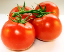 Mette 4 fette di pomodoro in un vaso con della terra e il risultato 10 giorni dopo è sorprendente! Dovresti provarlo!