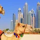 47 Crazy Things You Only Find in Dubai