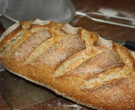 Ist Dinkelbrot wirklich gesünder als Weizenbrot? Wir haben die Antwort.