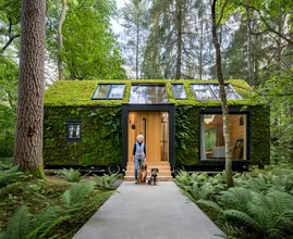 Elderly Woman lives in a Mossy Hut - Take a Look Inside