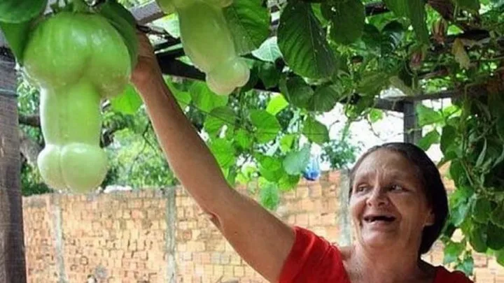 16 imágenes completamente inofensivas que prueban que tienes una mente sucia