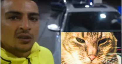 SHOCKING: Rapper Boef blijkt ook nog een dierenmoordenaar te zijn! Dit kan toch niet?!