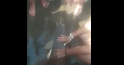 Verschrikkelijk: deze babydolfijn overleed toen hij in handen was van selfie-nemende toeristen..