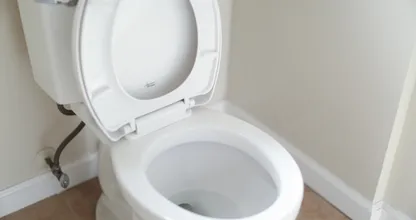 Things you shouldn’t be flushing down the toilet
