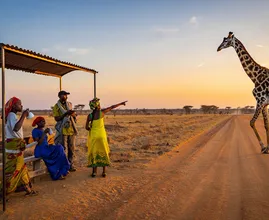 Giraffe Appears at Bus Stop – When It Lowers Its Neck, Everyone Stops Breathing