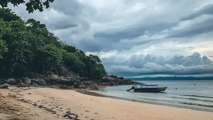 Frau folgt Wolf ins Meer, nachdem er sich ihr am Strand genähert hat - was sie fand, brach ihr das Herz