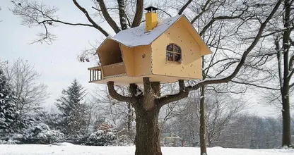 This Man Lives in a Cardboard Treehouse