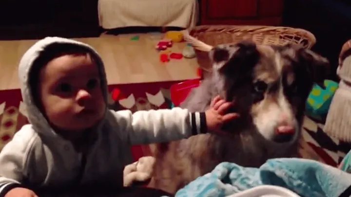Deze moeder wilde heel graag dat haar kindje 'mama' zou zeggen en wat de hond toen deed..