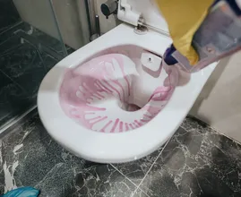 866 calls to the Dutch poison centres in one year: the toilet-cleaning habit a chemical engineer wants people to drop