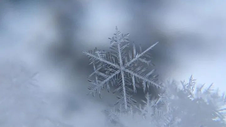 Durf te vragen: gaat het op sinterklaasavond sneeuwen?