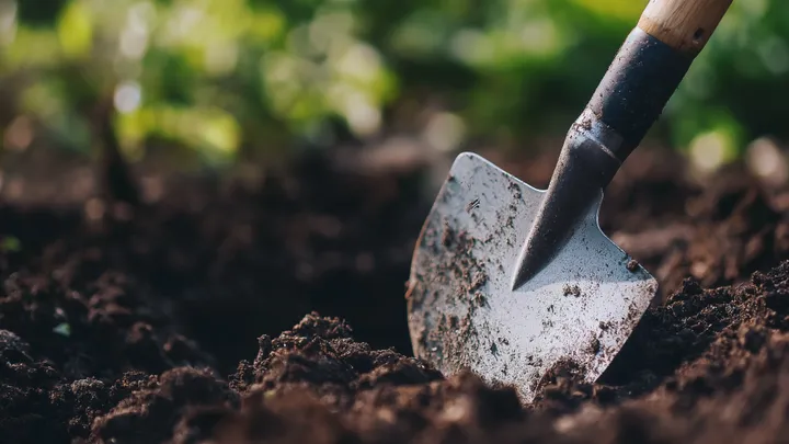 Mann erbt ein Anwesen - was er im Garten vergraben vorfindet, verblüfft ihn!