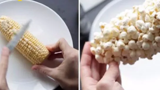 Kaum zu glauben, aber wahr: Popcorn am Maiskolben!