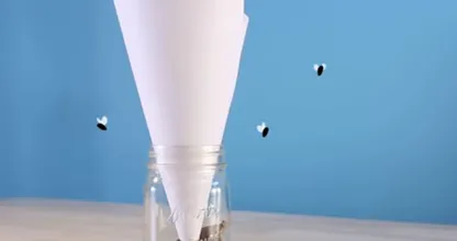 In nur einer Minute gemacht und du wirst Obstfliegen sofort los