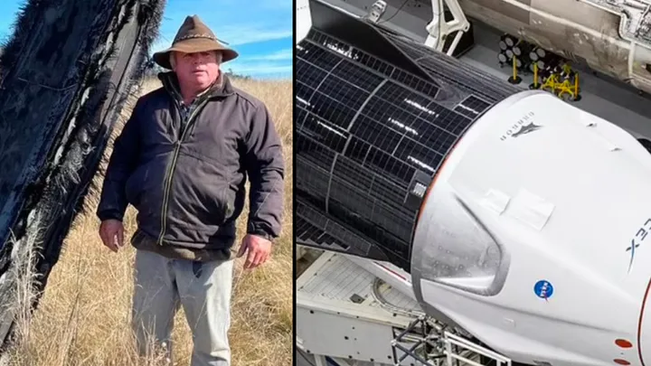 A Mysterious Large Object From Outer Space Crashed On A Sheep Farm In Australia 
