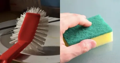 Dish brush vs. sponge: what's the better option? We've got the answer!