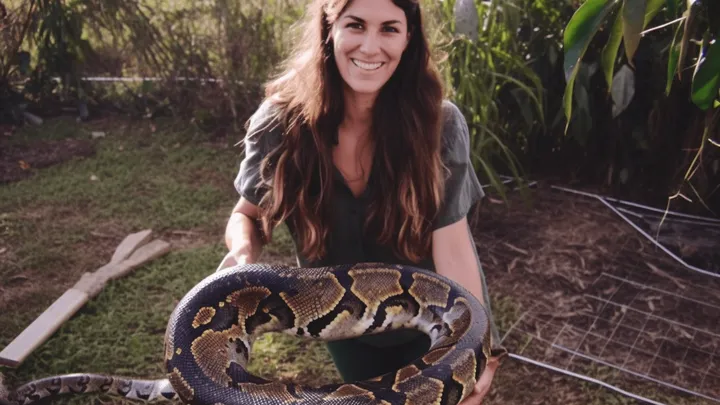 Mujer pensó que podía dormir segura con su mascota pitón todas las noches, hasta que el veterinario le mostró la sorprendente verdad