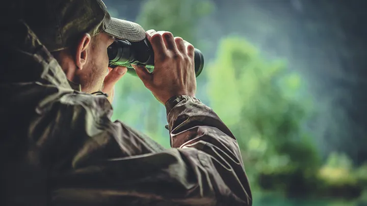 Este leão foi visto na natureza - o veterinário fica chocado quando percebe que ele é tão grande