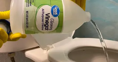 ¡Coloque un paño con vinagre en su inodoro y sea testigo de la magia!