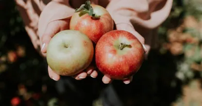 Zo blijven appels het langst knapperig en vers