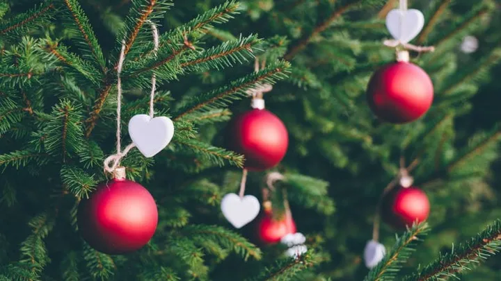 6 tips to keep your Christmas tree fresh all through the holidays