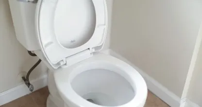 Oeps: dit kun je beter niet door de wc spoelen