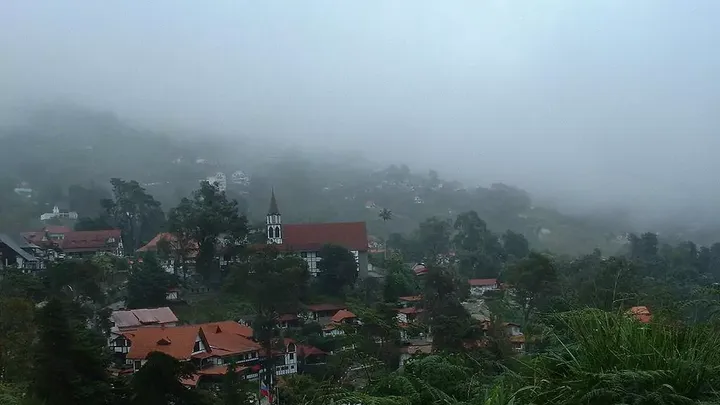 Wie ein komplettes deutsches Dorf im Amazonas-Regenwald verborgen lag