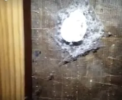 Gänsehaut! Ein Ungezieferunternehmen stößt bei der Arbeit auf ein Spinnennest mit einer gigantischen Mutterspinne!