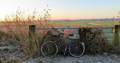 Het weer van deze week: kil, glad en winters