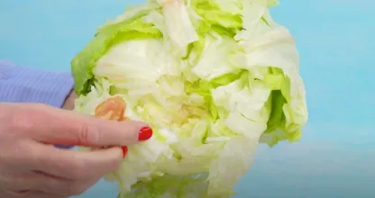 ¿Cortaste la lechuga mal toda tu vida? Cortarás en 2 segundos de esta forma