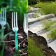 41 unglaubliche saisonale Garten-Tricks, die Sie diesen Frühling ausprobieren können - Ihre Nachbarn werden vor Neid erblassen!