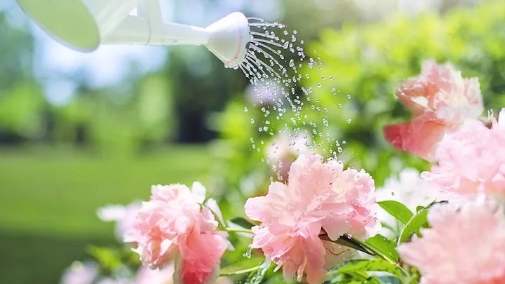 Deze 21 tuinhacks besparen je veel tijd en geld