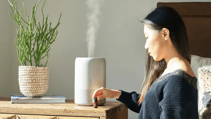 Você realmente precisa de um umidificador em sua casa?