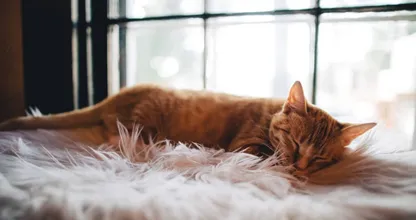 4 tips om wakker te worden wanneer het buiten nog donker is