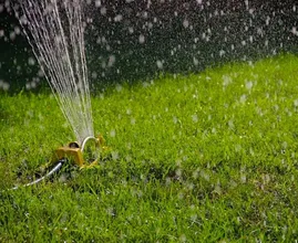 Mit diesem Tipp bleibt dein Rasen das ganze Jahr über grün