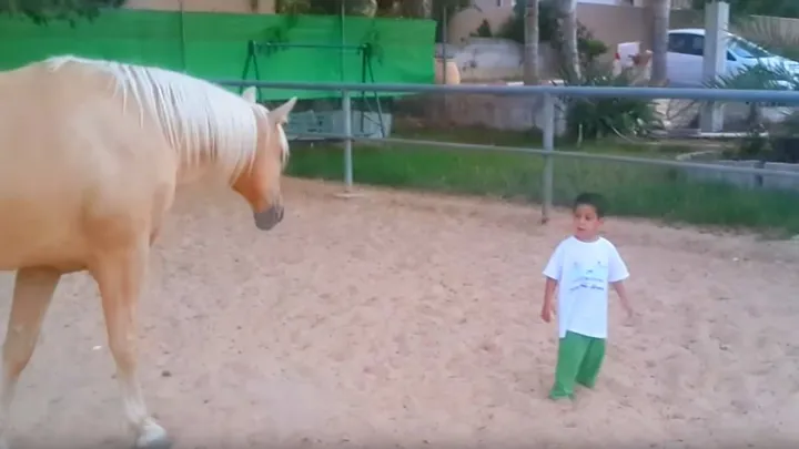 He is mentally disabled and gets dangerously close to a horse, but then something amazing happens!