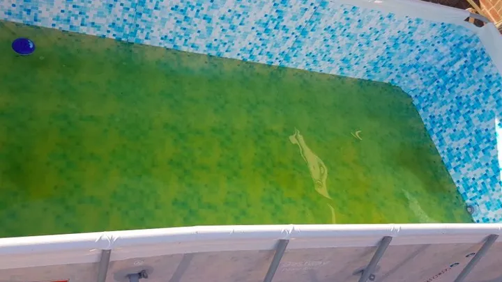 Make green pool water clear again with these three simple steps