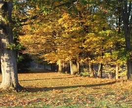 Hallo herfst! Het weer slaat volgende week drastisch om