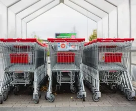 Btw-tarief in Duitsland omlaag: boodschappen over de grens nog goedkoper