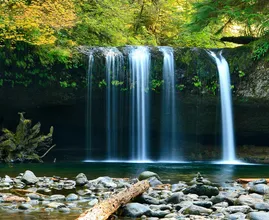 Find out: this is why nature sounds are so relaxing